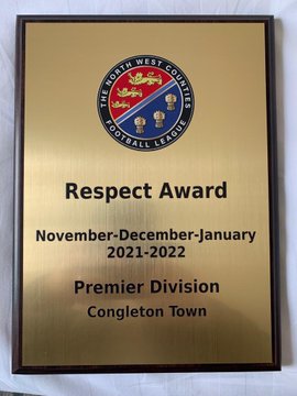 respect award