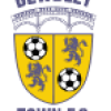 Bewdley_Town_F.C._logo 1