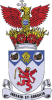 Irlam_F.C._logo